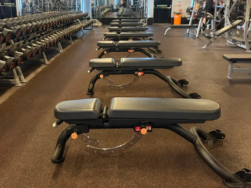 Free weights at truGym Ipswich